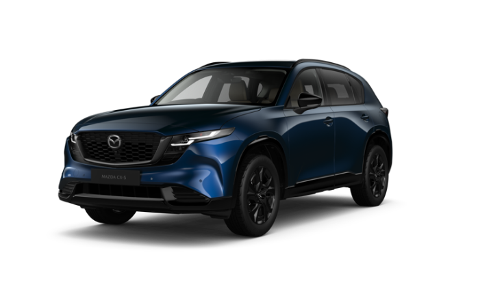 Navy Blue Mica | + Rp4,000,000